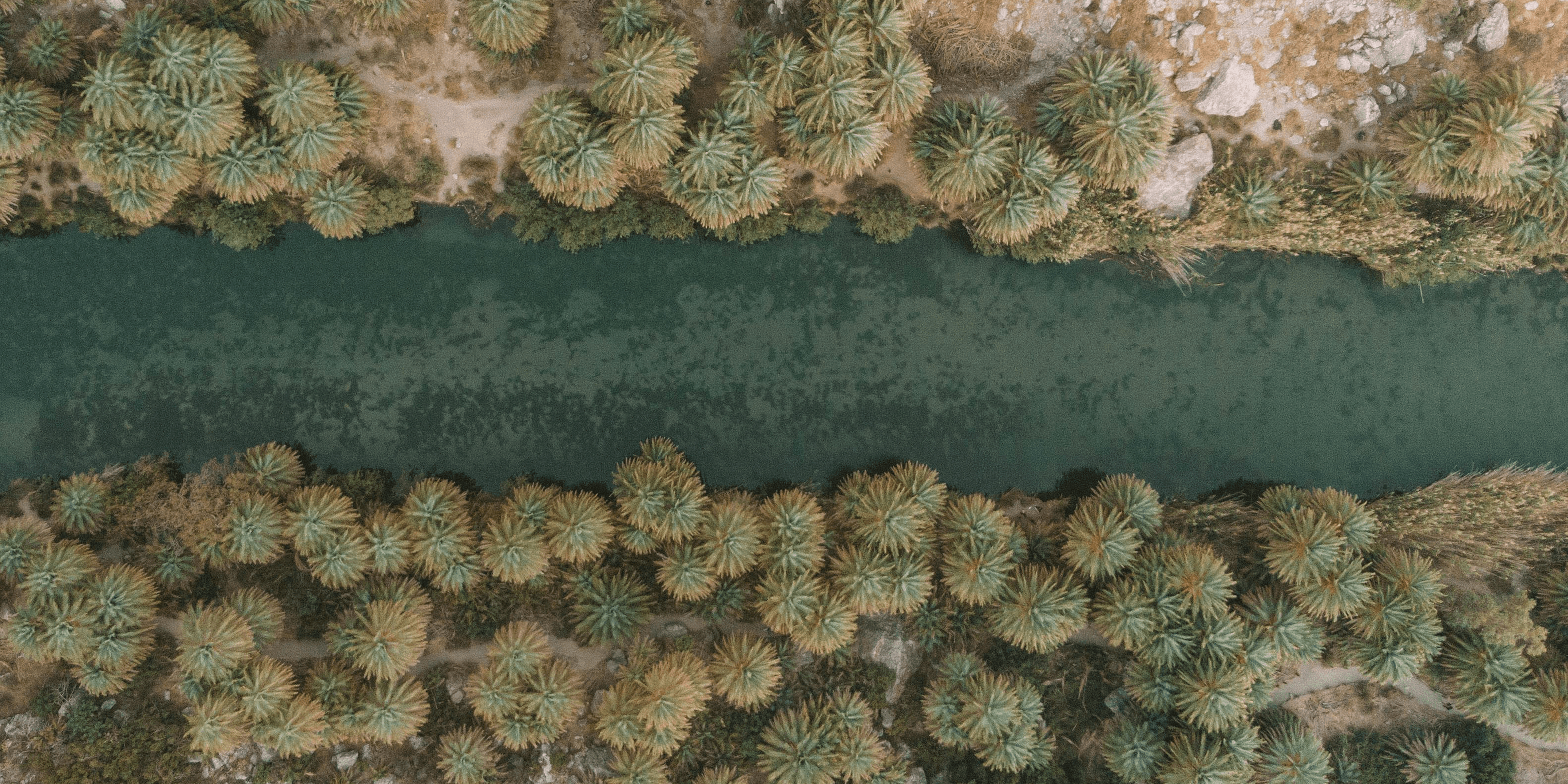 Adventure Awaits. Rent Your Perfect Car Today.